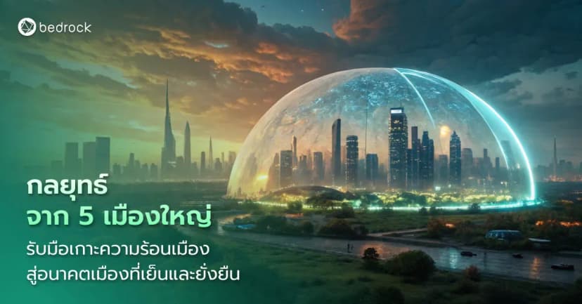 สำรวจแนวทางแก้ไขปรากฏการณ์เกาะความร้อนเมือง (Urban Heat Island Effect) จาก 5 เมืองใหญ่ให้แต่ละท้องถิ่นนำไปปรับใช้และลดผลกระทบจากความร้อนในเมือง